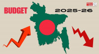 Budget FY26: Items getting costlier, cheaper